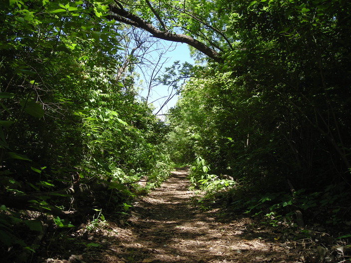 The upland trail