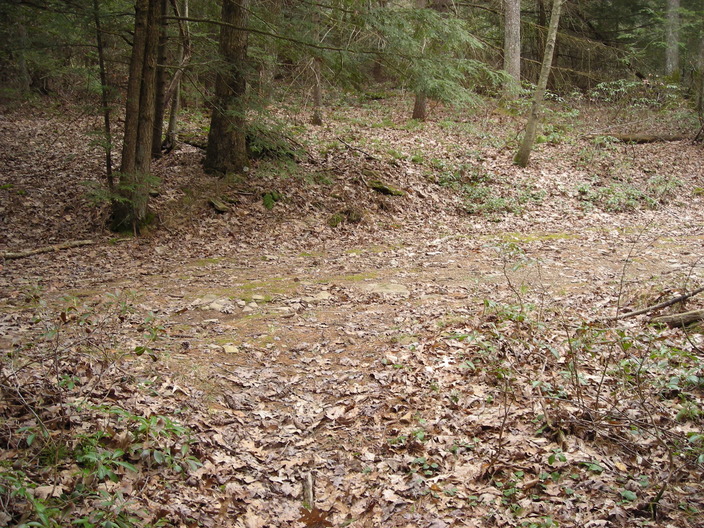 Miller Trail