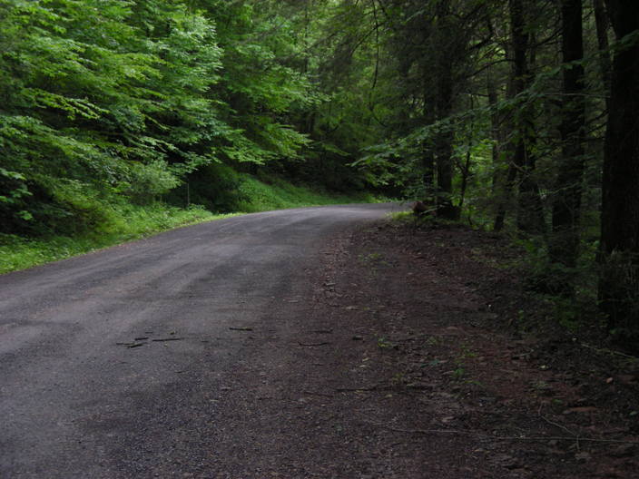 Genesee Trail Road