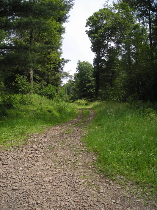 Old Genesee Trail Road