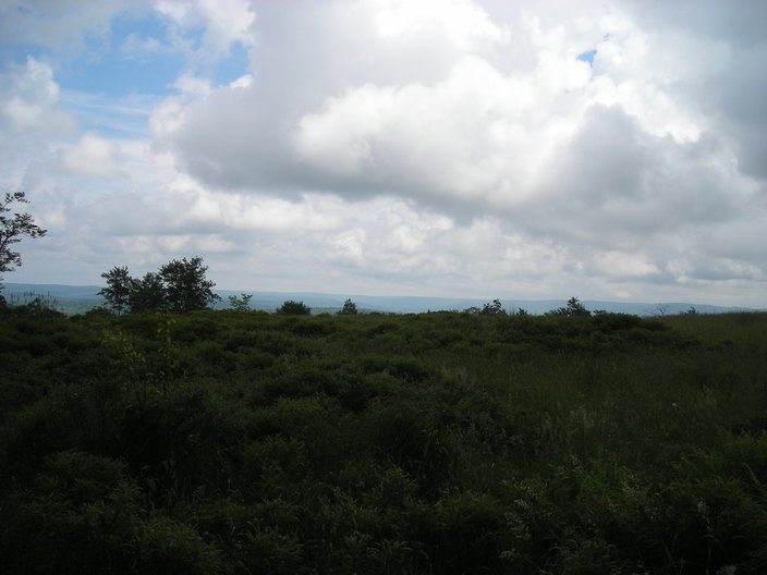 Hilltop view