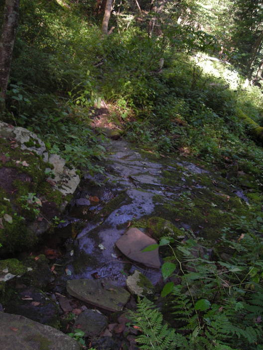 Slippery rocks