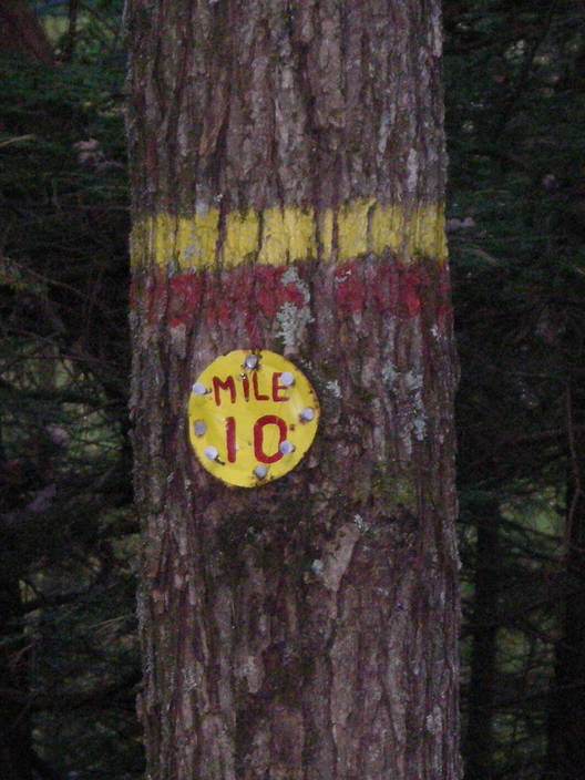 Mile 10