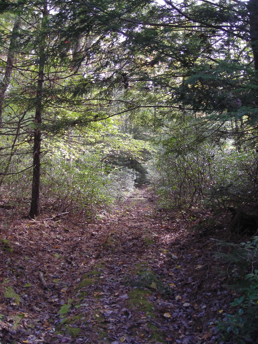 Old Barbours Road