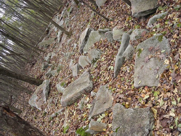 More rocks