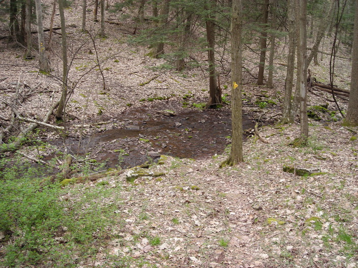 Laurel Run