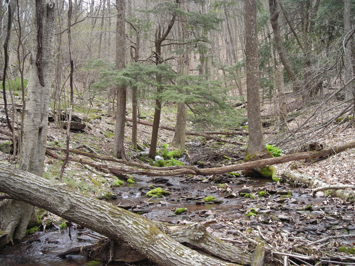 Laurel Run valley