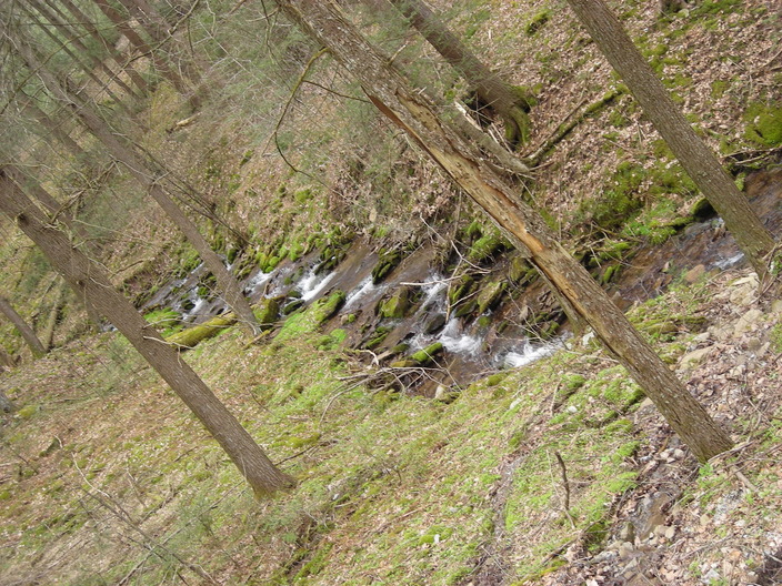 Rocks in the creek