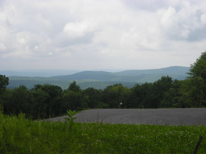 View through well site