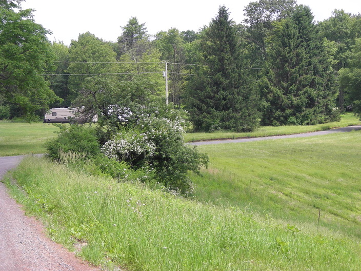 Camper in field