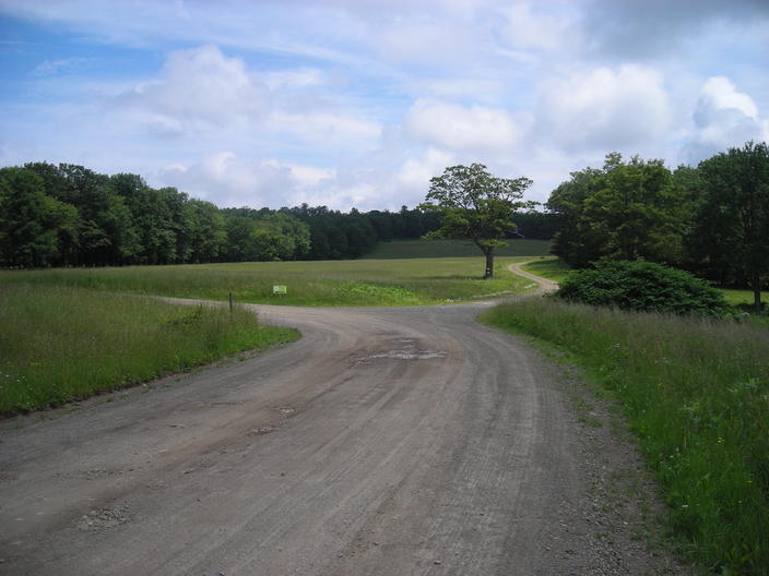 Fork in the road